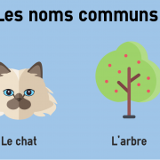 Les Noms Communs | CoLanguage